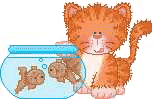 a ginger kitten with a goldfish bowl 